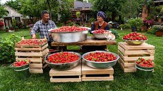  From Field to Oven: Picking, Drying, and Baking Strawberries