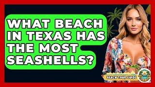 What Beach In Texas Has The Most Seashells? - Beach Tour Guide
