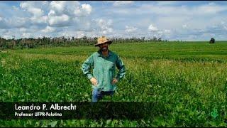 Atenção ao Manejo da Resistência de Plantas Daninhas dentro do Sistema Produtivo