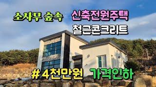 매물번호 752번)소나무숲속 신축 전원주택 주변경치와 풍경 예술입니다 #밀양부동산 #밀양주말주택 #밀양촌집 #밀양전원주택