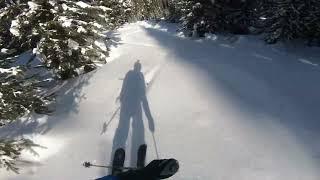 Sun Peaks Backcountry March 15 2023