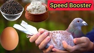 Health and Speed Booster Formula for Racing Pigeons