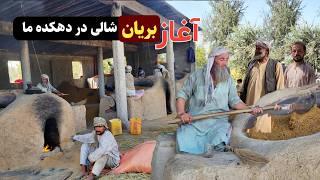 آغاز شالی بریان در دهکده ما ، مصاحبه به دهقانکارا || The beginning of rice roasting in our village