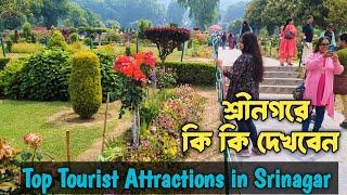 Top Tourist Attractions in Srinagar Complete Travel Guide 2024 | শ্রীনগরে কি কি দেখবেন | Episode - 9