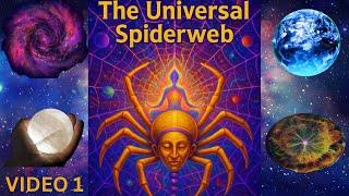 The Universal Spider Web by Armando Torres, Video 1