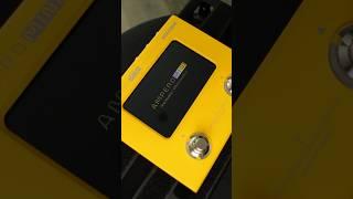 Worlds Most Powerful, Budget Friendly, Compact Amp Modeler? - Hotone - Ampero Mini