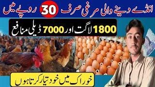 The Best Scale To Start Chicken Farming | chicken farming in pakistan