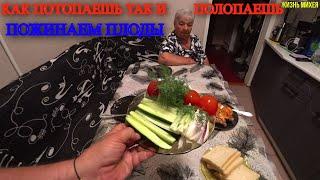 ЗАСОЛИЛИ САЛО / УЕХАЛИ В ГОСТИ ГОРОД РОСТОВ НА ДОНУ / У НАС НОВЫЙ ПОМОЩНИК  / РЕМОНТ МОТОБЛОКА /