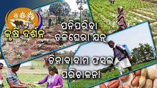 Krushi Darshan || କୃଷି ଦର୍ଶନ || 11 Sept 2024