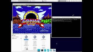 Building Sonic 1 on Linux with clownassembler