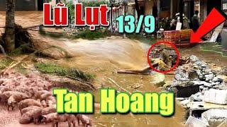 Lũ Lụt Miền Bắc Hoang Tàn Sau Bão Lũ Vỡ Đê Cảnh Tượng Di Dời Bất Lực Sau Con Nước Dâng