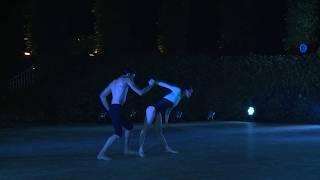 VARNA IBC 2018 - Jessica Xuan and Cristiano Principato - "Step addition"