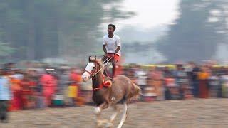 Best horse raceing Bangladesh