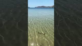 Gialos beach - #shorts #iosisland #greece