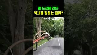 왜 도로에 검은 액체를 칠하는 걸까?