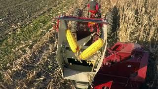 DAVE KLEINE'S 1PR CORNPICKER