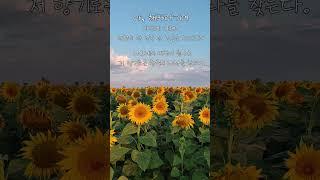 [이 주의 시 한 잔]  아, 해바라기여 - 윌리엄 블레이크 | 1분 동안 힐링하는 시 낭독