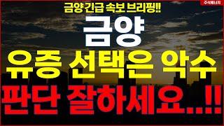 금양 "유증 선택은 악수" 판단 잘하세요..!! 금양 긴급 속보 브리핑!!