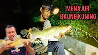 AYUB MUHAMMAD | IKAN BAUNG MENGGANAS WAKTU SUBUH