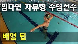 SHC 수영강습_임다연 코치님 배영 팁