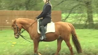 REITEN und ZUCHT-Video Reitlehre: Halten