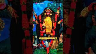 Agnipuran Viral Truths 2024 #amazingfacts #historyofsanatan #sanatandharma #shorts #short #history