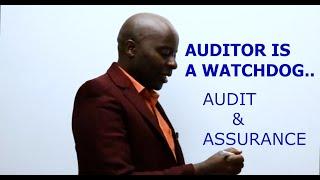 AUDIT & ASSURANCE//CPA//AA//AAA