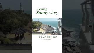 써니 힐링브이로그 | 매일 다른 작은 행복들 #일상브이로그 #부산여행 #아트페어