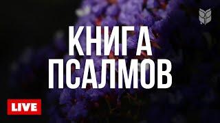 Спокойствие и Божье присутствие в Псалмах  BibleVision Прямой Эфир