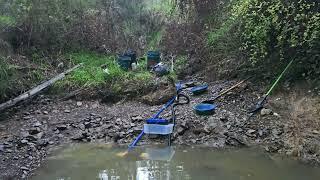 The craziest gold I've ever found in Warrandyte