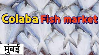 COLABA FISH MARKET MUMBAI 2024|| Sassoon dock fish market Mumbai colaba