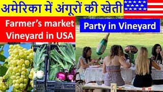 USA Grapes Vineyard अमेरिका में अंगूरों की खेती, American Party in Vineyard, Farmers America Darshan