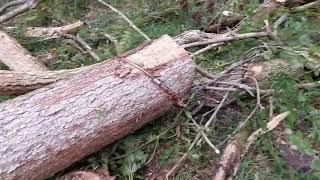 Holzrücken mit Hannes #Teil 1 Tipps und Tricks zum Holzrücken für Anfänger und Fortgeschrittene