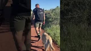 Have you ever tried rucking?