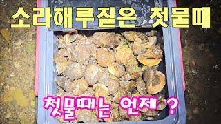 소라해루질 이것만 알고가세요 소라해루질 첫물때