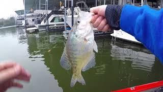 Crappie Fishing 3/18/18 on Old Hickory Lake