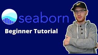 Seaborn Tutorial for Beginners in Python (Data Visualization)