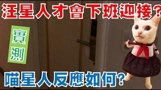 【豆漿 - SoybeanMilk】黏人的豆漿會不會應門?　結果讓奴才心碎