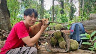 MUSIM DURIAN TIBA!! Durian awal musim dipenghujung Tahun 2021 !! Jalan jalan bersama Bocil