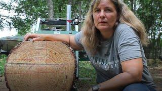 How much Quarter Sawn Lumber CAN WE GET from ONE Log?