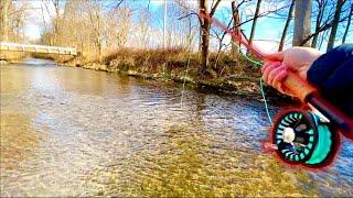 Fly Fishing in OHIO for Brown TROUT