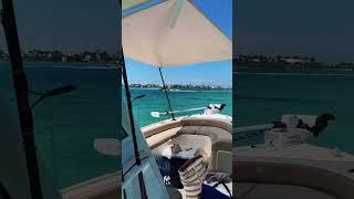 Cooling off in the sparkling water in Boca Grande Sandbar Florida #florida #summer #beach