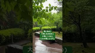 雨(あめ)､大雨､小雨､にわか雨 #일본어공부 #매일일본어 #일본어독학 #rainyday #keiko일본어수다