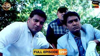 जंगल में CID को क्या मिला एक बोरी के अंदर? | CID |सी.आई.डी.| 17 Nov 2024