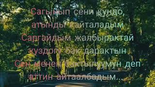 Суйом деп айта албадым - текст