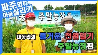 대동리마을의 즐거운 전원일기[주말농장편]