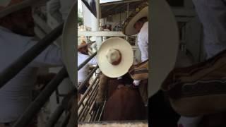 Efren barba (el boro) jineteo de toro en Tlajomulco sep 1 2016