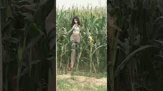 Show off your figure in the cornfield #fashion #model #beauty #style #outfit #shorts #ruralgirl