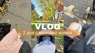 vlog/ 2 дня с молодой мамой/ 2 новых зубика/наш вечер/ уборка