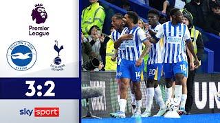 Minteh leitet Aufholjagd ein | Brighton & Hove Albion - Tottenham Hotspur | Highlights - PL 2024/25